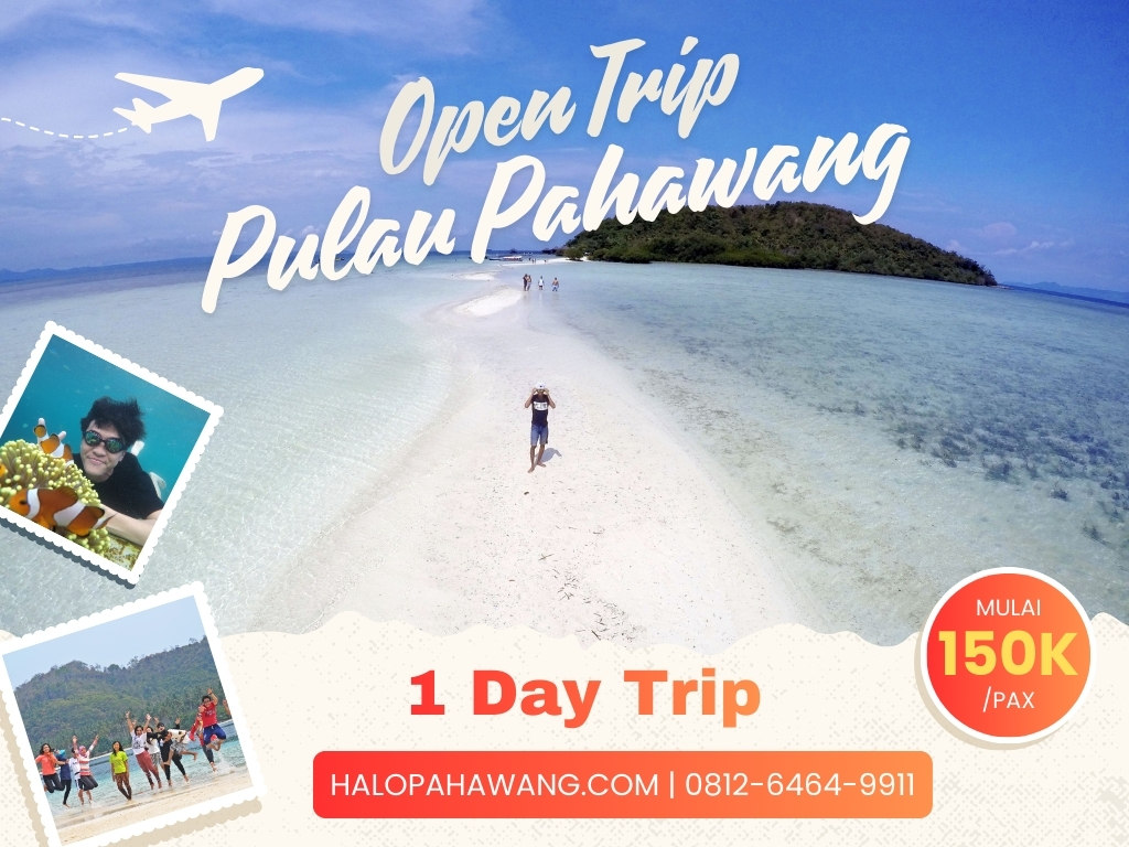   Open Trip Pulau Pahawang 1 Hari