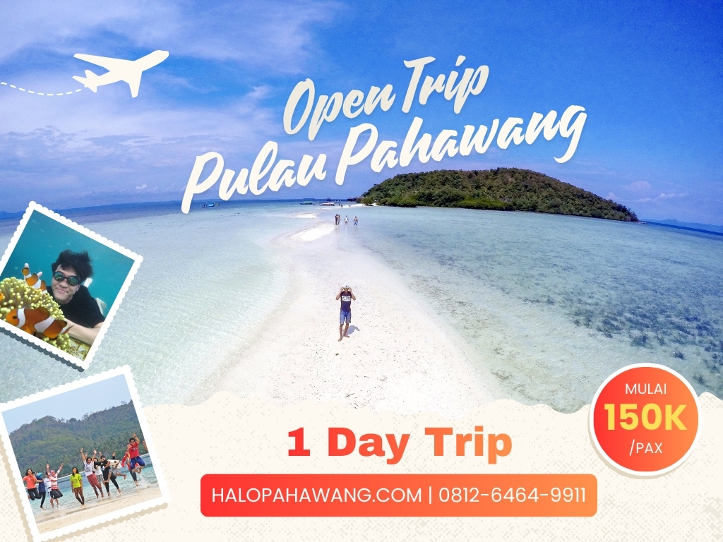   Open Trip Pulau Pahawang 1 Hari